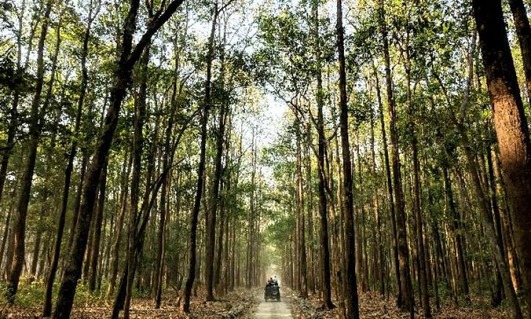 जिम कार्बेट की नजर से नैनीताल