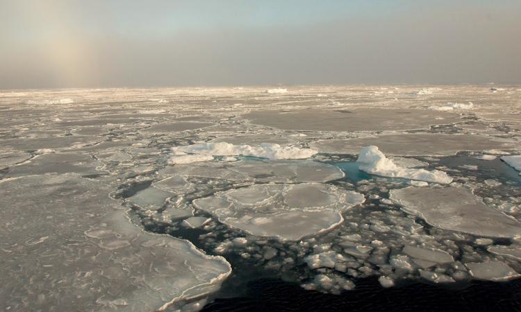 वातावरण में बदलाव से बर्बाद हो रहा आर्कटिक, समुद्र का जलस्तर बढ़ने का खतरा
