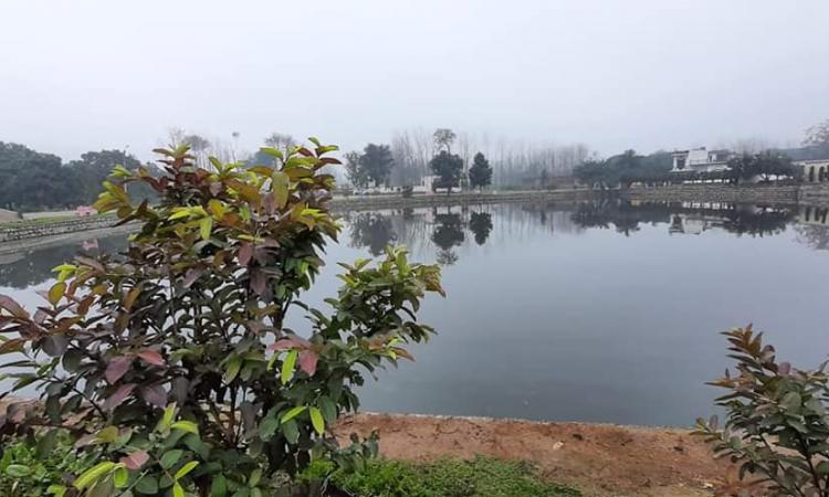 नैनखेड़ी गांवः तालाब जिंदा होते ही लौट आई खुशहाली