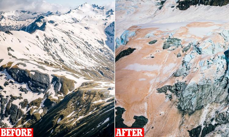 ऑस्ट्रेलिया की आग से बदल रहा न्यूजीलैंड के ग्लेशियरों का रंग