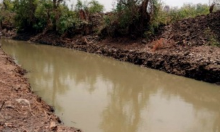 नदी विज्ञान की कसौटी पर ललितपुर जिले की ओडी नदी के पुनर्जीवन की कहानी
