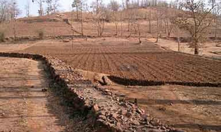 onsite water harvesting