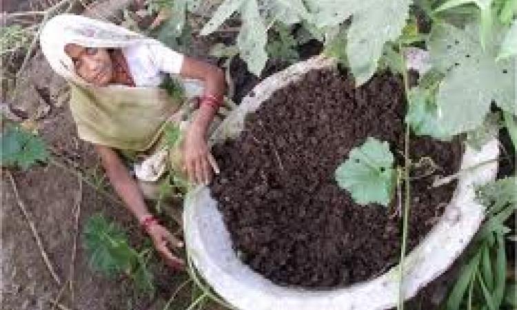 organic farming