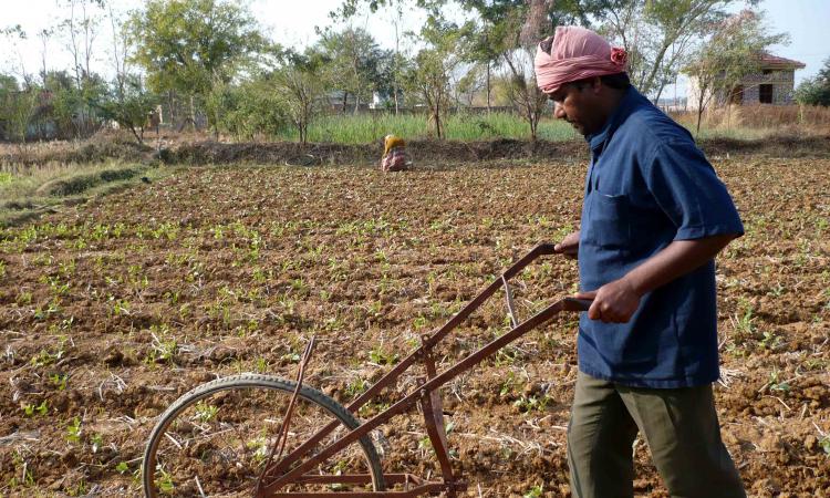 organic farming