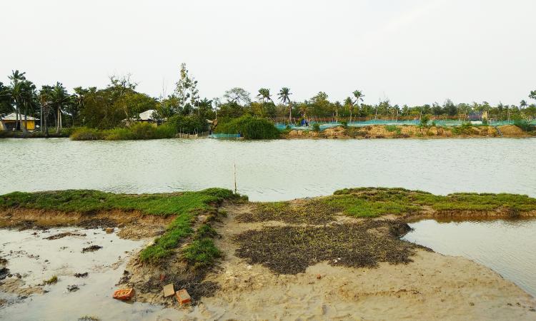 sinking island of sundarvan