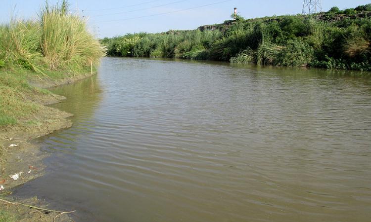 pandu river