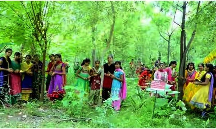 राजस्थान स्थित राजसमंद जिले का पिपलांत्री गांव में बेटी पैदा होने पर लगाते हैं 111 पौधे।