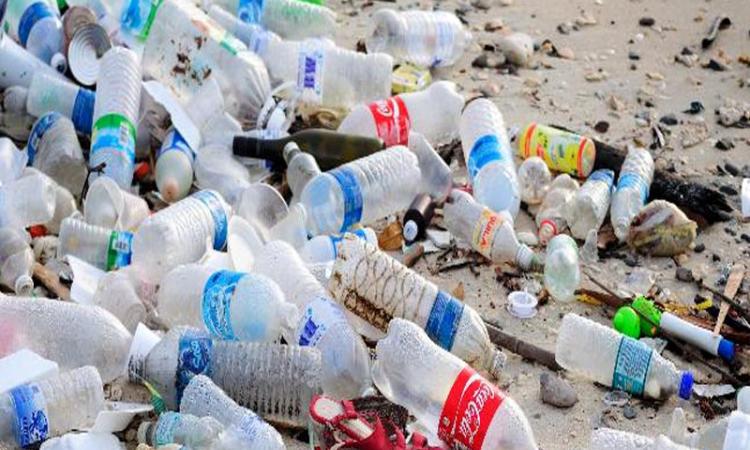 प्लास्टिक कचरा कई समस्याएँ पैदा करता है
