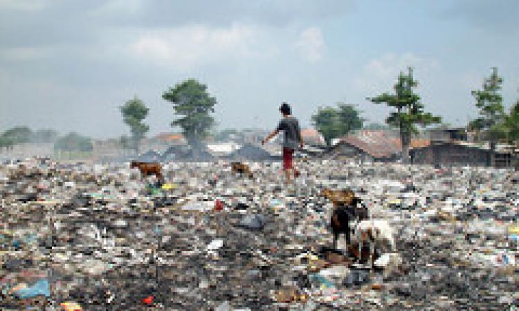 प्लास्टिक कचरे से पट रही है धरती