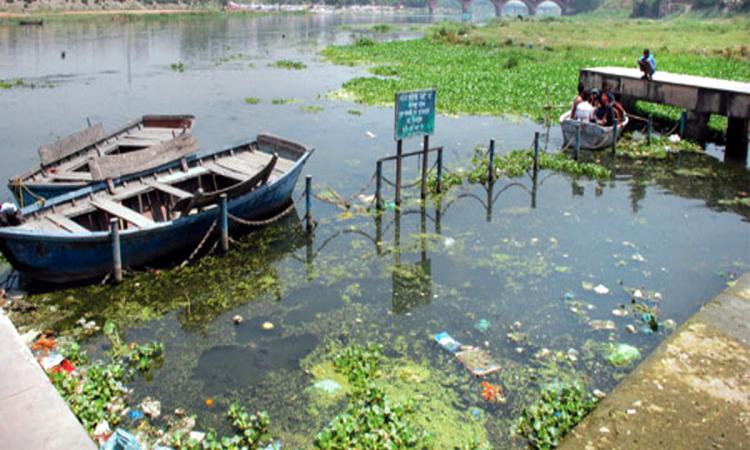 polluted river