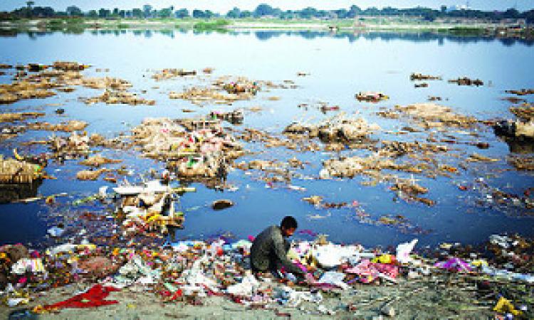 polluted yamuna