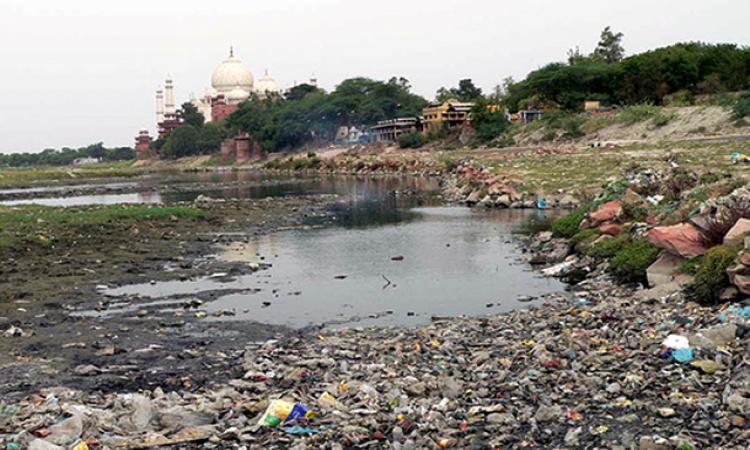 गंदगी ढोने की साधन बन गई है यमुना