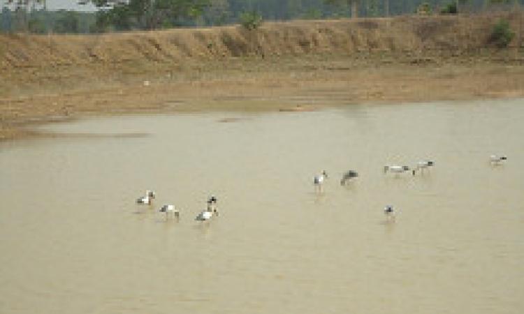 pond chhattisgarh