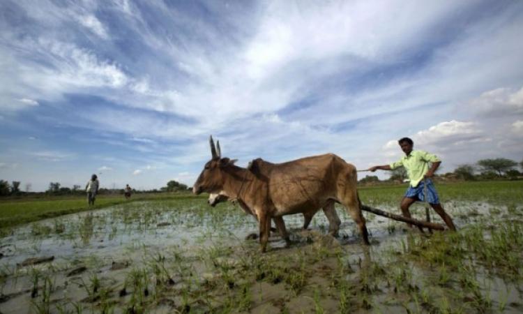 बारिश की देरी से किसान ही नहीं इस बार सरकार की भी मुश्किलें बढेंगी
