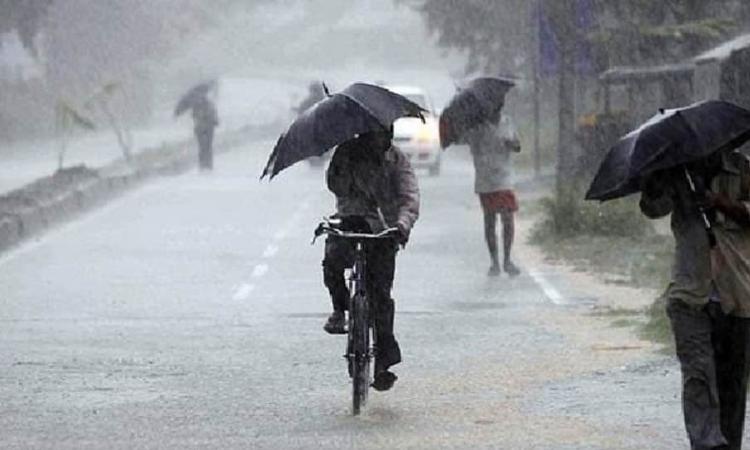 भारत में जून-जुलाई 2020 में राज्यवार बारिश, फोटो - Zee News