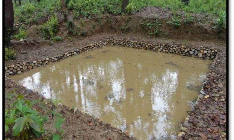 rainwater harvesting