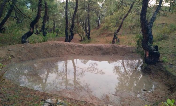 उत्तराखंडः पहाड़ के लोगों की पहल से संग्रहित होगा लाखों लीटर पानी 