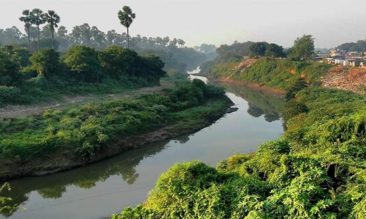 विश्वामित्री नदी वड़ोदरा