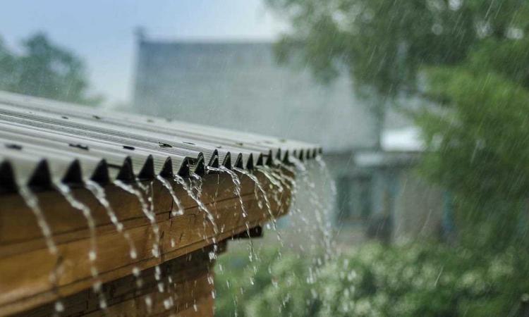 roof top water harvesting