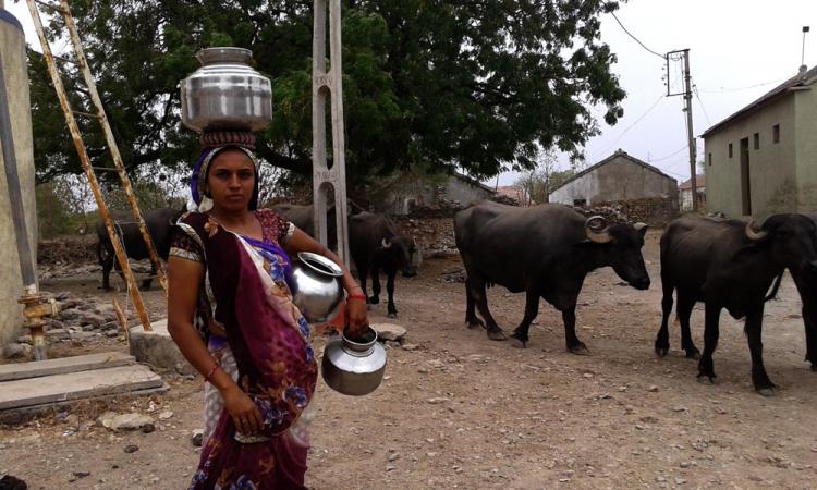 सौराष्ट्र के एक कसबे में महिला पानी के लिए जाती हुई