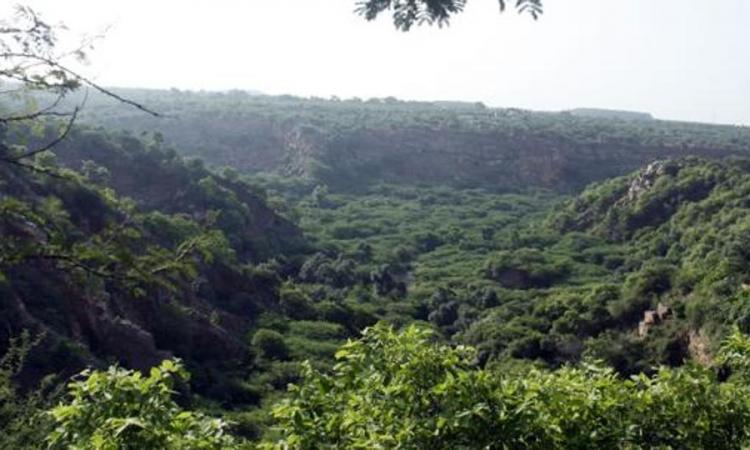 प्राकृतिक वन क्षेत्र का विकासः तेलंगाना में यदाद्री का अध्ययन