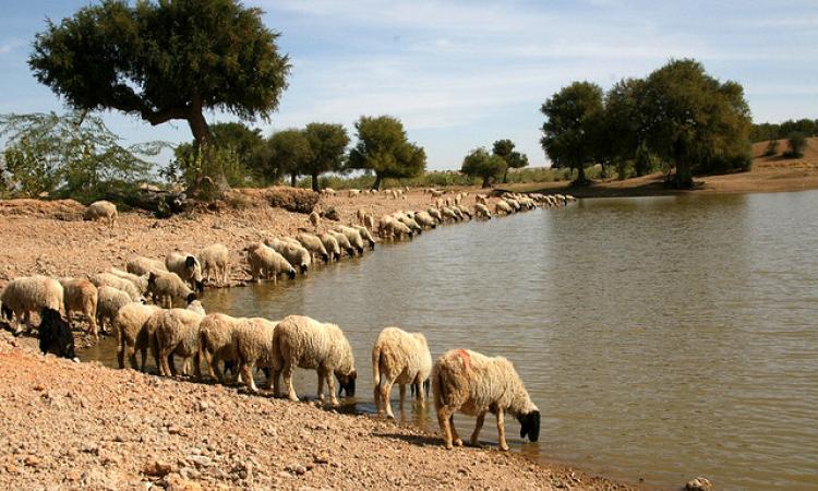 traditional water management