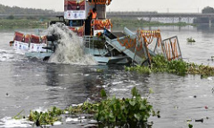 waste pollution in river