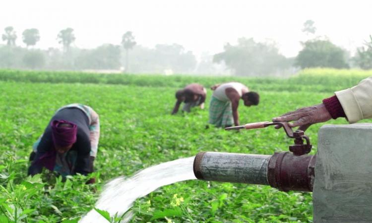 जल संकट से बढ़ेगा कृषि संकट