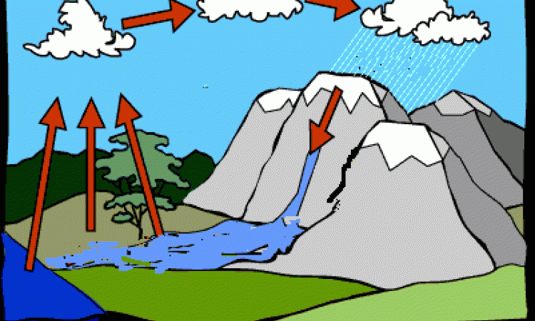 water cycle