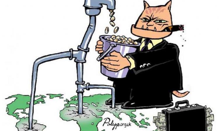 water privatization