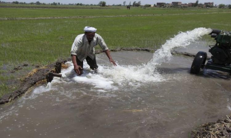 पानी की बर्बादी के लिए केवल किसान ही दोषी नहीं