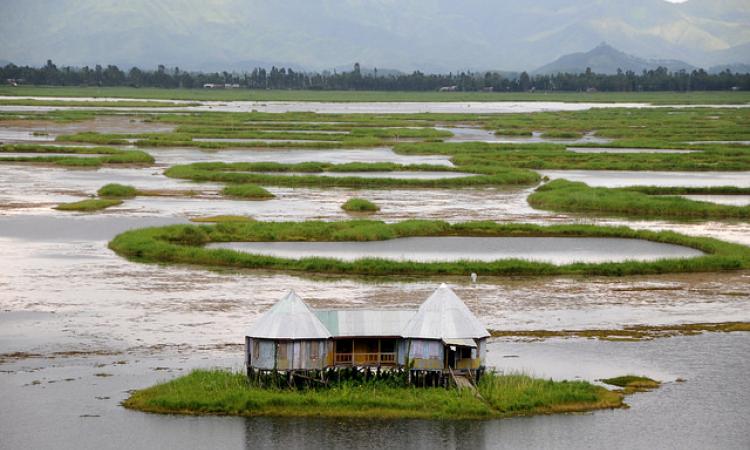 wetland