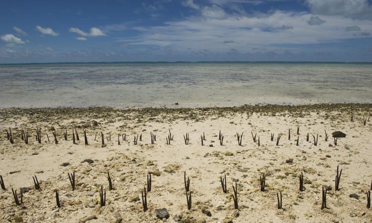 Effects of climate change on this low-lying lands (UN Photo/Eskinder Debebe)