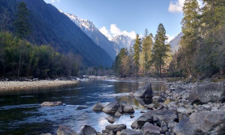 A stream at Anini, Arunachal Pradesh (Image Source: Roshni Arora)