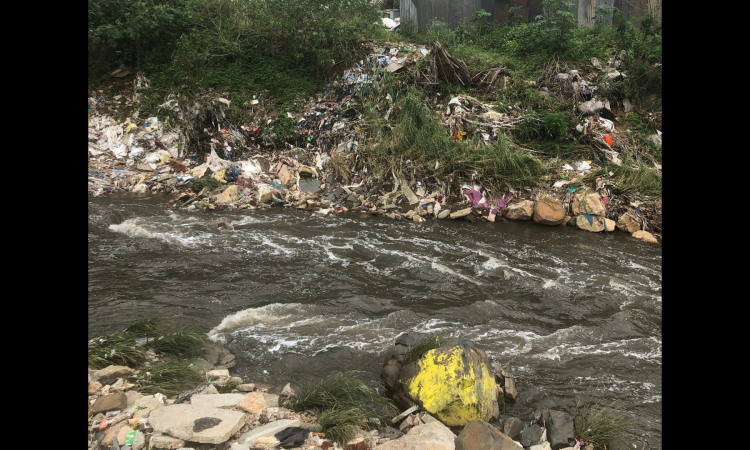 Vrishabhavathi river (Image Source: Paani.Earth)