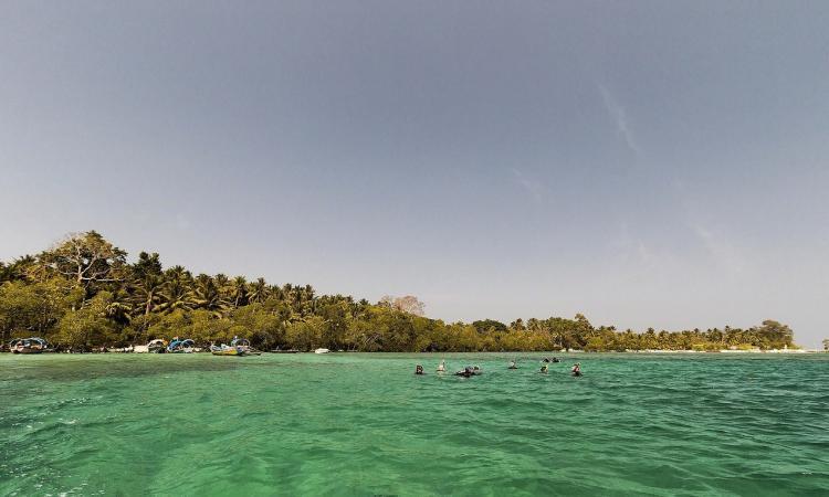 Havelock, Andaman Island. Photo for representation only (Source: Vikramjit Kakati from Pixabay)