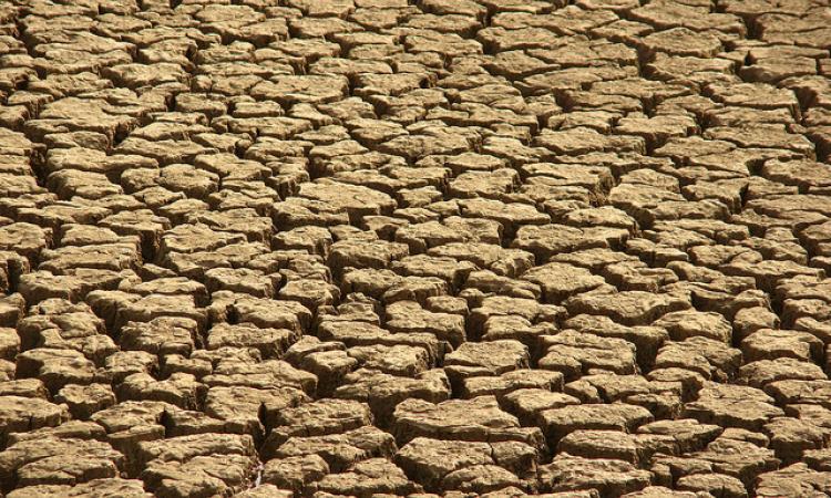 June 2014: driest since 1901