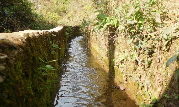 A small canal in Chanaute, Birendranagar, Nepal. (Photo: Janak Poudel (CC BY 4.0 SA)