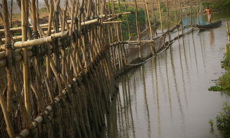 Deepor Beel in Assam (Source: IWP Flickr photos)