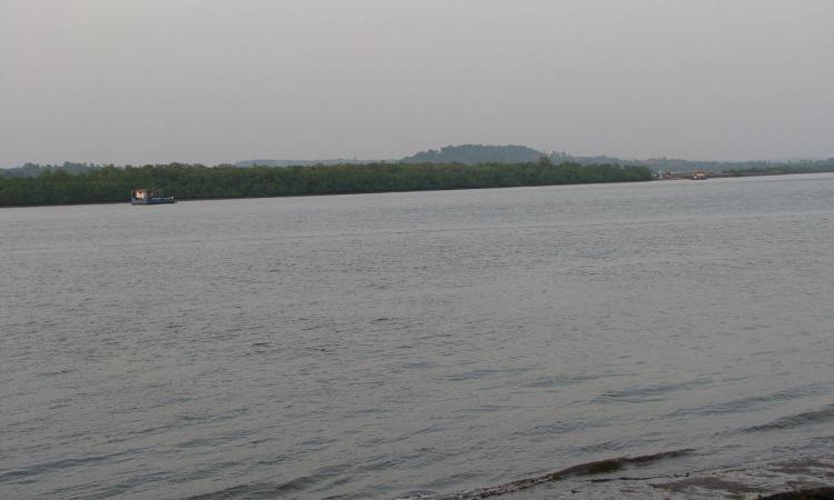 Mahadayi River in Goa (Source: Wikipedia)