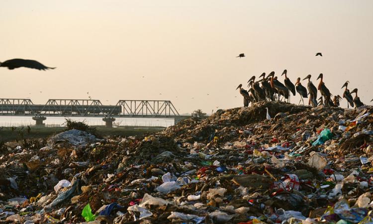 Dumping ground on the banks of Deepor Beel