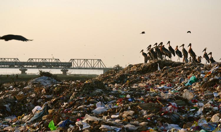 Waste dumped near the Deepor Beel (Source: IWP Flickr photos)