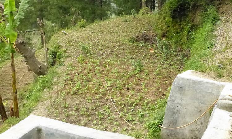 Gravity-based pipe irrigation in Uttarakhand (Source: IWP Flickr Photo)