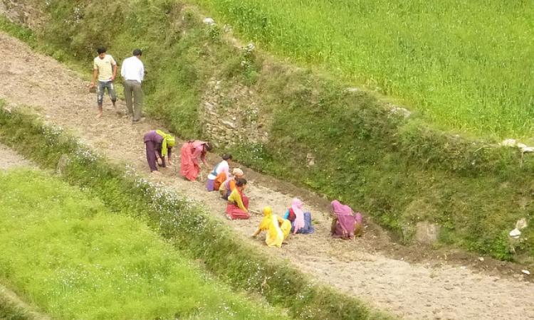 Agriculture fields in Uttarakhand (Source: India Water Portal Flickr Photos)