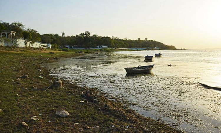 The Upper Lake, Bhopal (Source: IWP Flickr Photos)