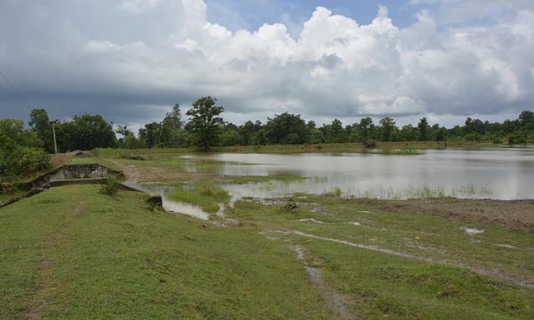 Effective watershed management can solve the water crisis in Maharashtra. (Source: IWP Flickr photos--photo for representation only)