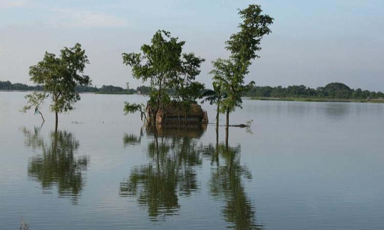 Floodwaters unsettle Muzaffarpur. (Source: IWP FLickr photos)