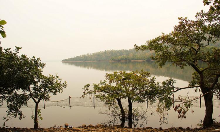 Laknavaram Cheruvu in Warangal, Telangana