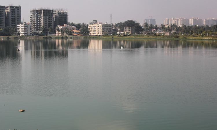 Rachenahalli Lake in Bengaluru (Source: Sumetee Pahwa Gajjar)