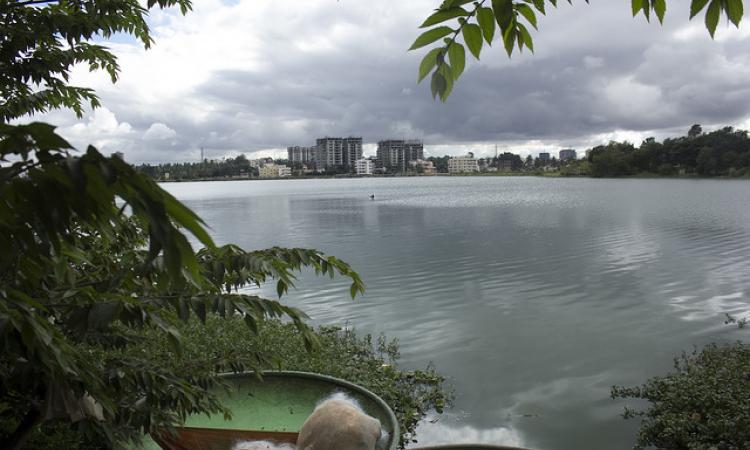 A lake in Bangalore city. Image used for representational purposes only. Image courtesy India Water Portal.